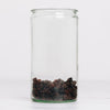 Seedless Raisins - Organic